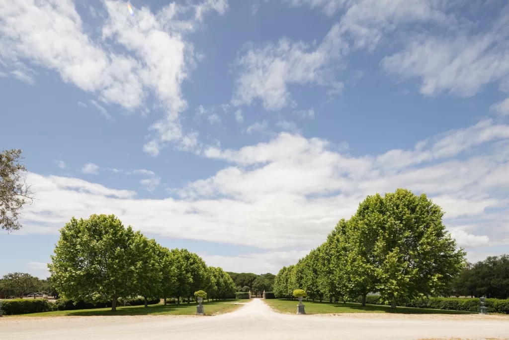 Photo courtesy of Herdade do Perú