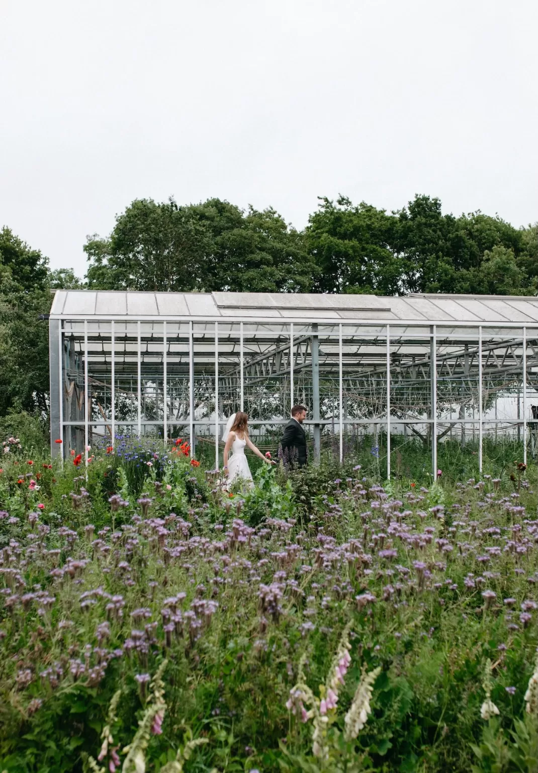 Bride and groom walking through tall wildflowers beside the glasshouse structure at Worton Kitchen Garden.