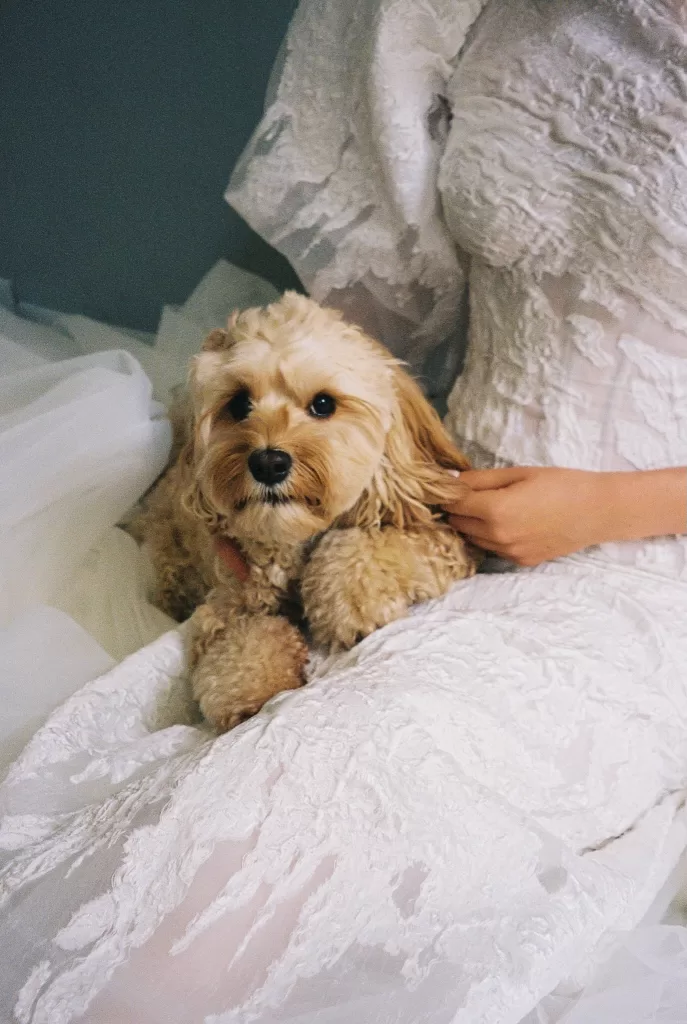 Bride sitting on her wedding dress with her dog, capturing a quiet and personal moment before the celebration.