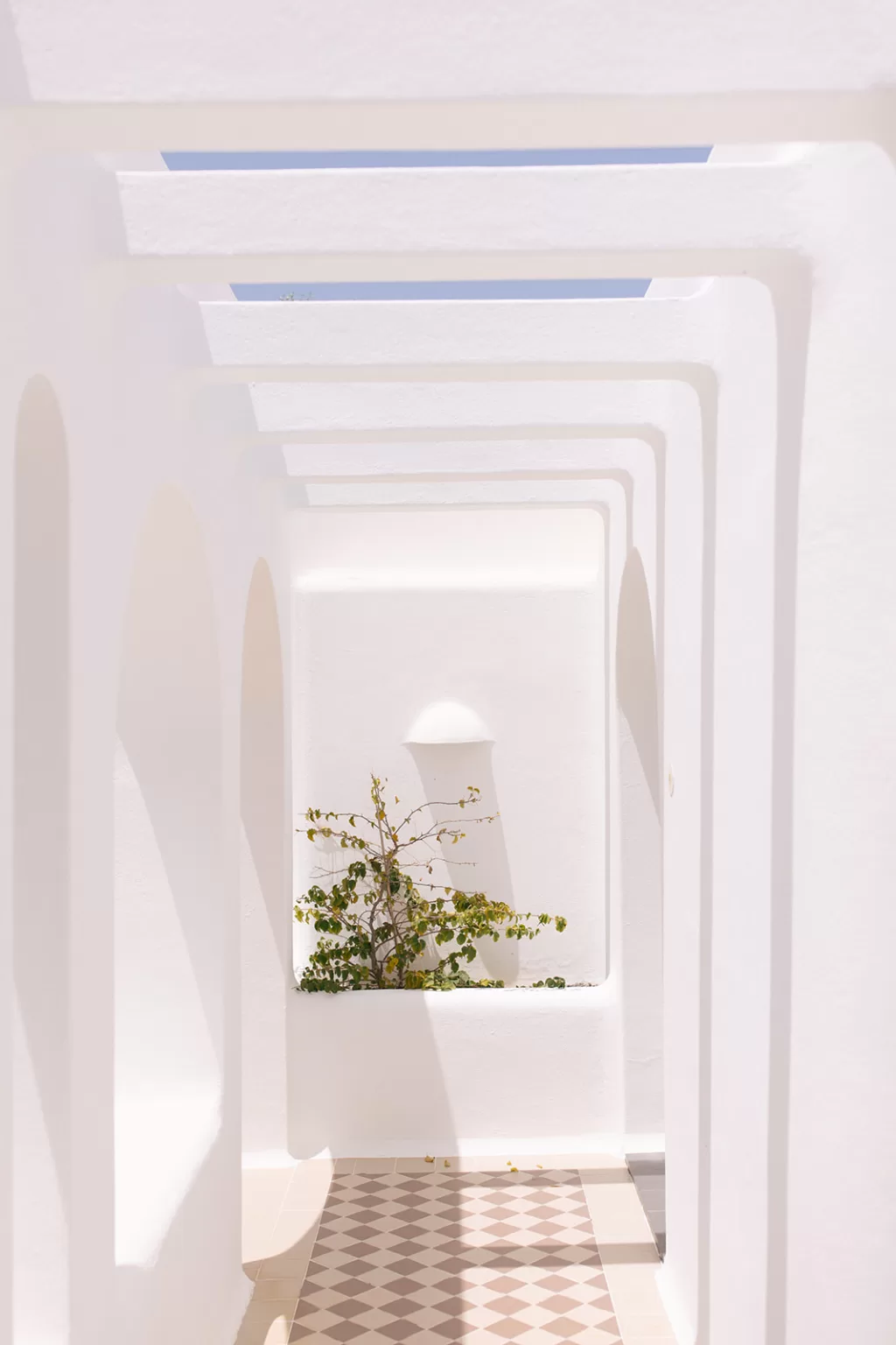 Photo courtesy of Casa Arte