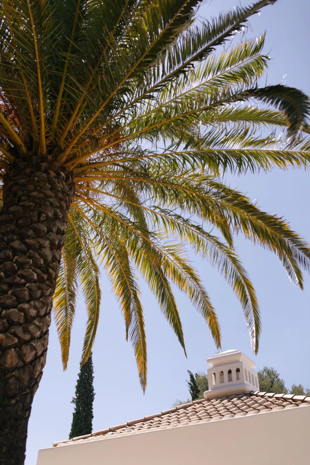 Photo by Hugo Coelho