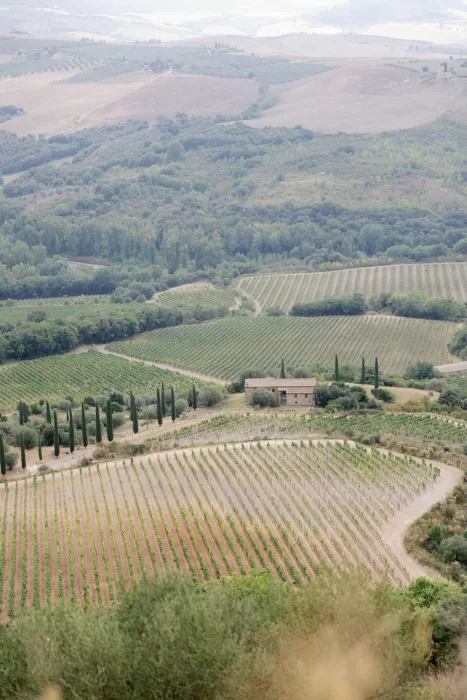 Rolling Tuscan vineyards and countryside surrounding Castello di Velona wedding venue.