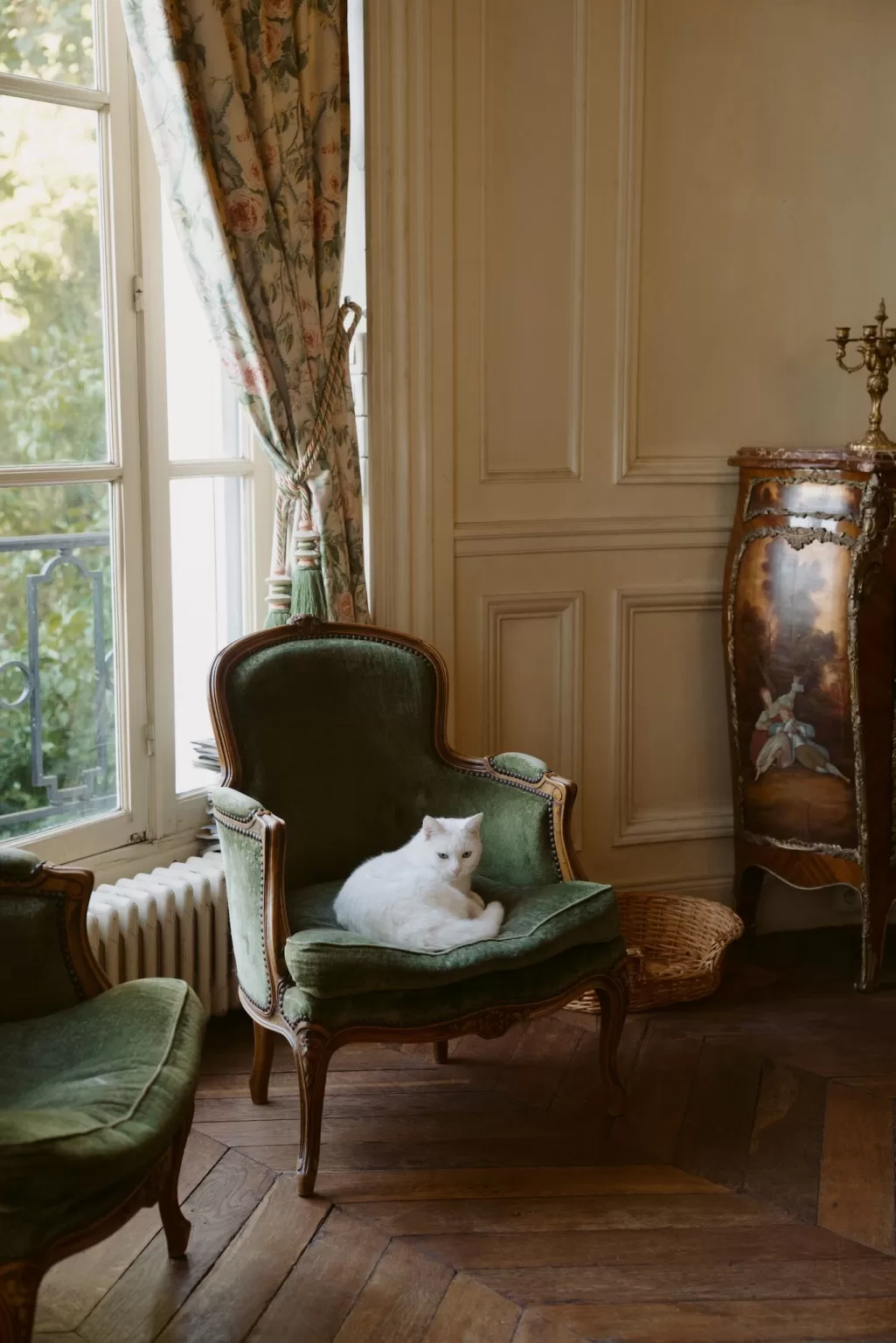 White cat resting on a green velvet armchair inside Château du Prieuré d’Evecquemont, adding a quiet, lived-in charm.