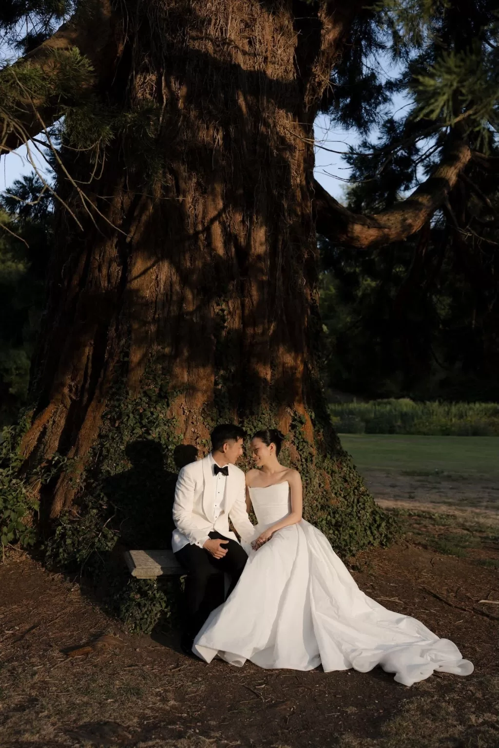Newlyweds sit beneath a grand tree at Manor House, sharing a tender moment in the evening light.