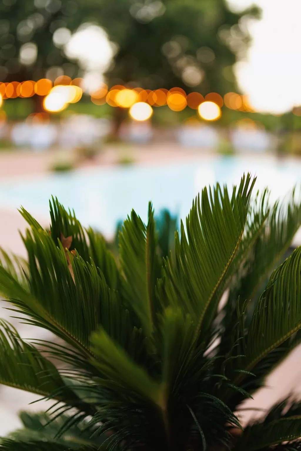 meneghetti-wedding-pool-lights