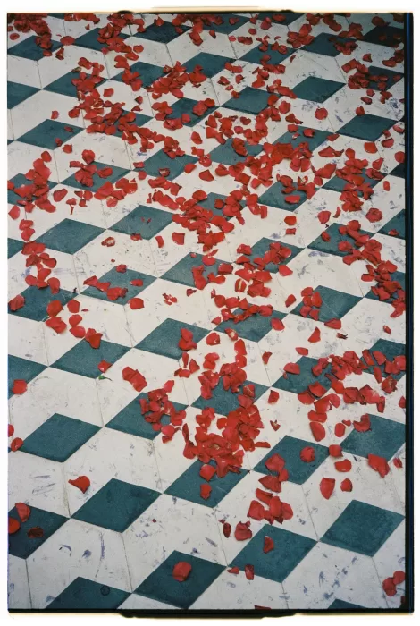 Red rose petals scattered across the patterned courtyard floor after the wedding ceremony at Infante Sagres.