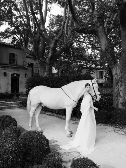 Black and white portrait of bride walking beside a white horse beneath trees at Mas de Chabran.