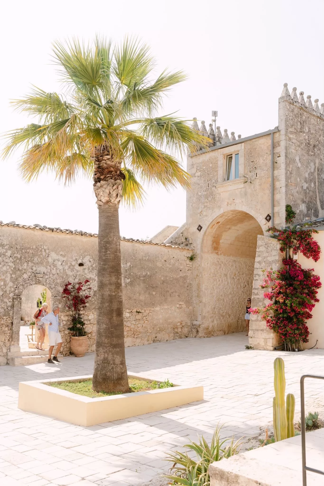 Bright courtyard at Dimora Delle Balze with a tall palm tree and rustic stone archways bathed in sunlight.