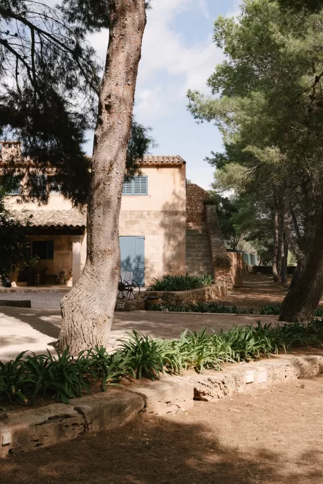 Garden pathway and trees surrounding the finca, peaceful countryside atmosphere