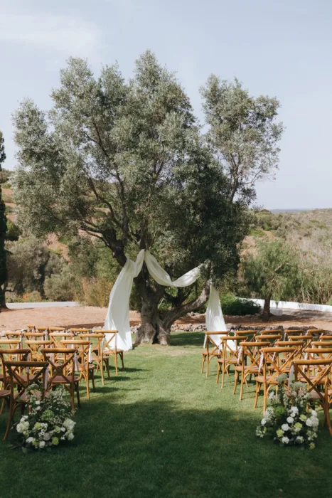 Ceremony chairs face an olive tree draped with soft white fabric in the garden.