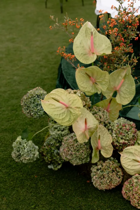 Ground-level arrangement of anthuriums, faded hydrangeas and orange berries spilling onto the lawn