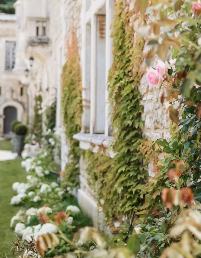 chateau-couronne-garden-wall-roses