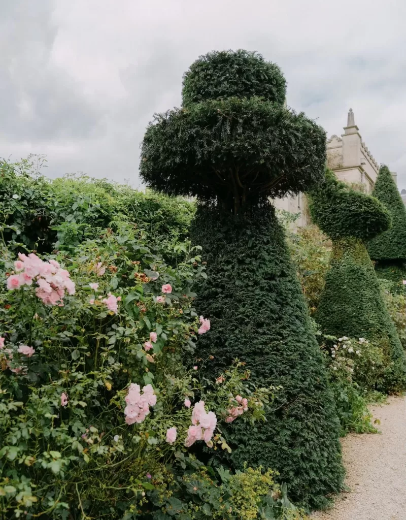 Whimsical topiary trees and pink garden roses line a gravel path at Euridge Manor.