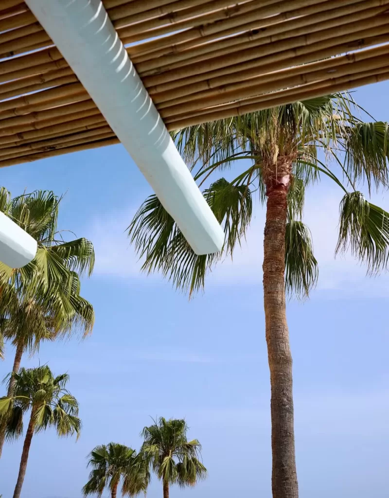 mykonos-blu-palm-trees-sky-view