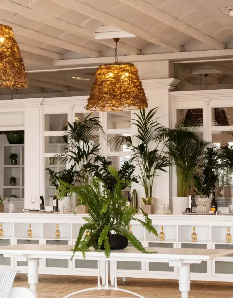 mykonosblu-restaurant-lounge